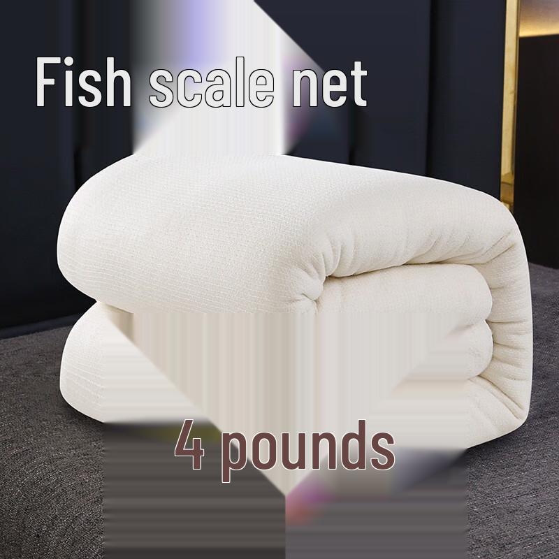 

Jinyun Xinjiang Cotton Duvet Insert