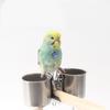 2in1 Bird Feeder Double Cups Stainless Steel Parrot Water Feeding Bowl  Bird Feeding Tool