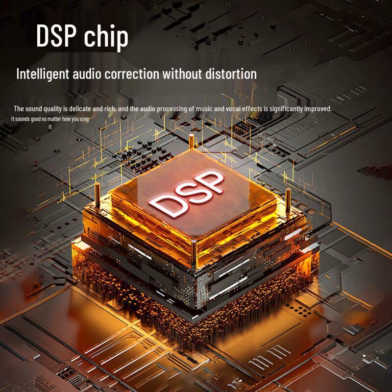 Newsmy KTV Microphone & Bluetooth Speaker System