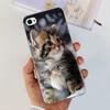 For iPhone 4 Case 3.5" Cute Cartoon Leopard Transparent Silicone Soft Cover For iPhone 4s iPhone4 Funda iPhone4s Shockproof Capa