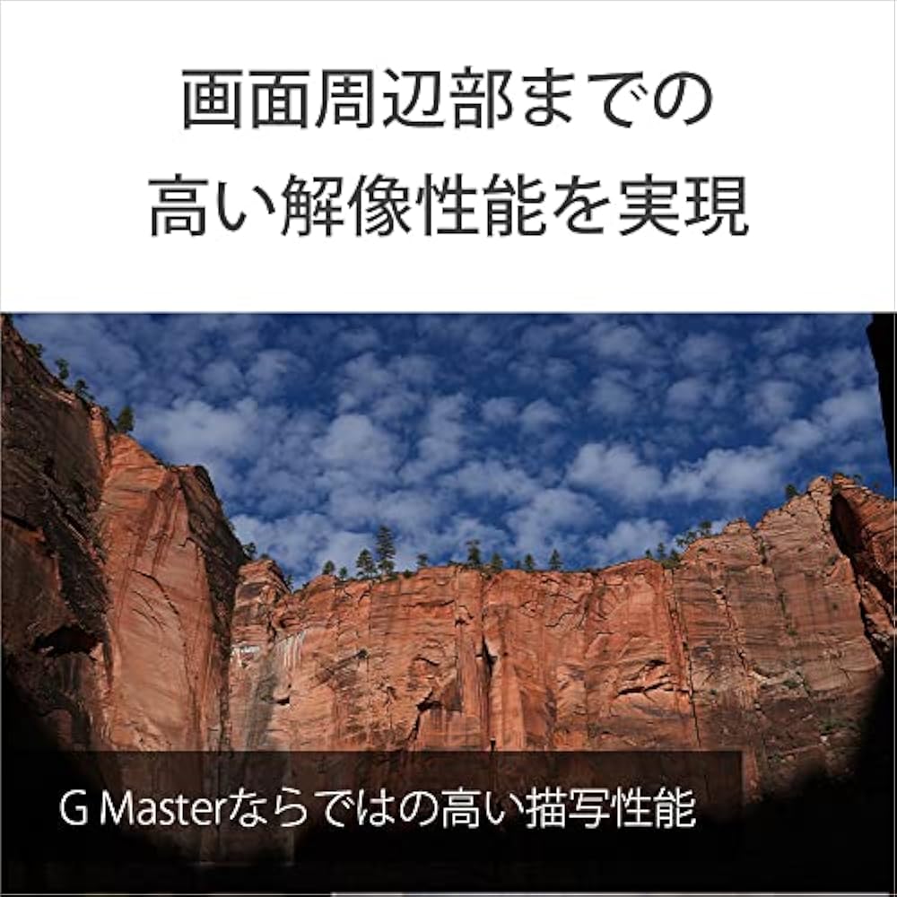 SONY (Sony) Standard Single Focus Lens Full Size FE 50mm F1.4 GM G Master Digital Single Lens Alp...
