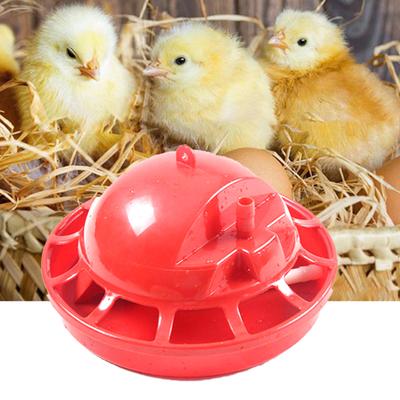 Chick Drinking Bowl High Capacity Automatic Plastic Detachable Poultry Waterer for Pet