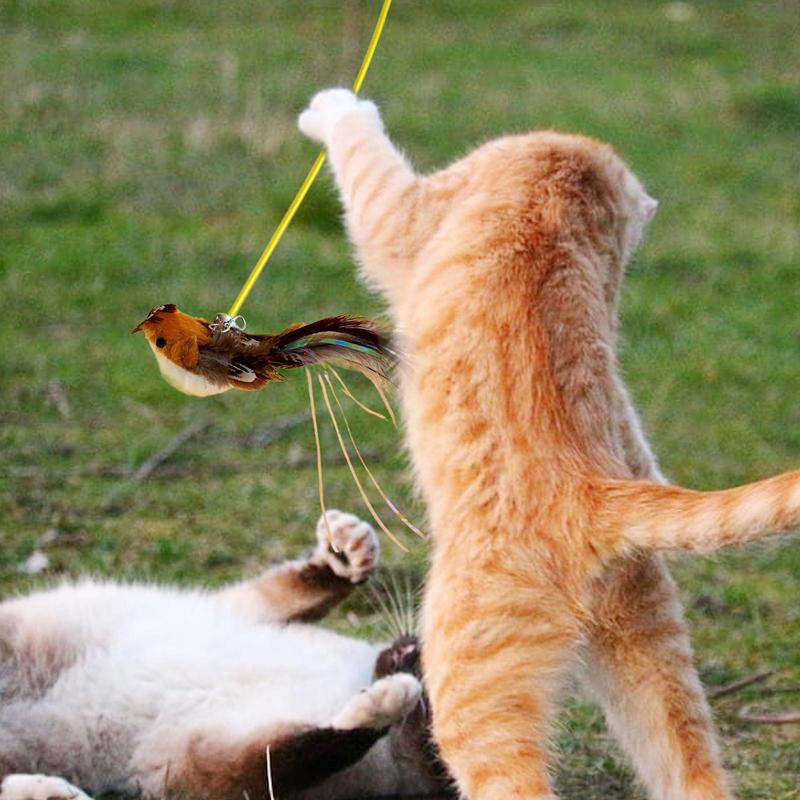 Katzen Spielzeug Federn Nachfüllung Interaktiver Katzen Reißer Nachfüllungen Aufsätze Multifunktionales Interaktives Katzen Spielzeug Für Zuhause Draußen