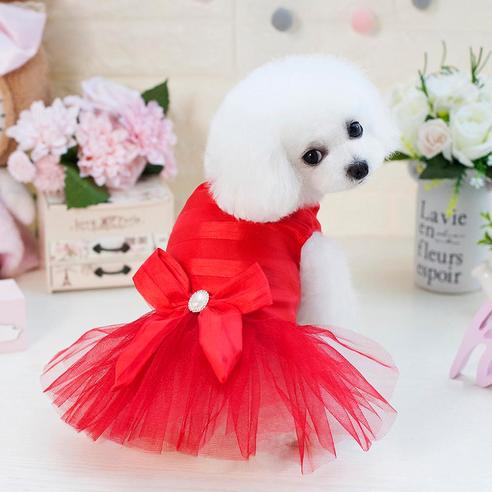 Small Dog Dress Fashion Pet Dog Bubble Dress Dog Cute Summer Skirt