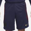 Nike Colorblock Logo Elastic Waist Football Shorts Paris Saint-Germain Edition Men Bottoms Navy DX3193-498