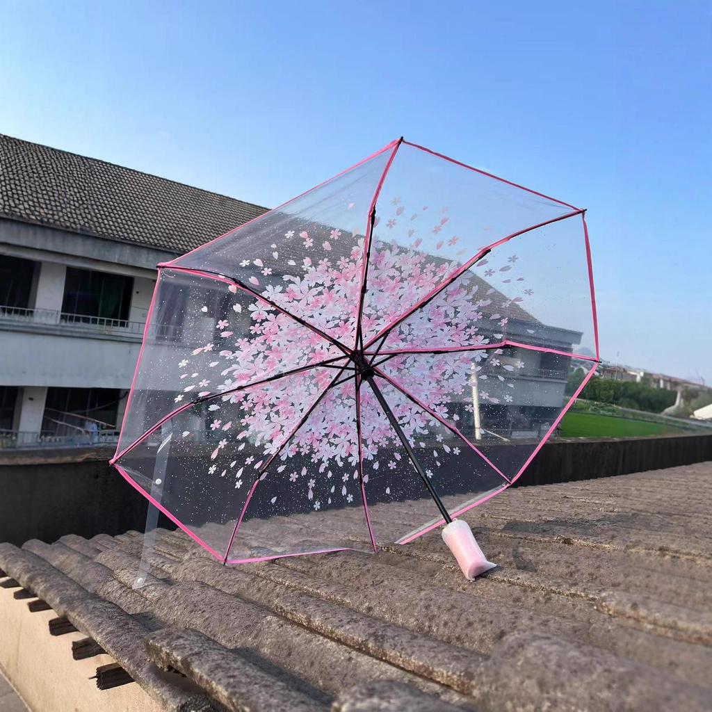 Dual-Use Automatic Transparent POE Umbrella - Xiaohongshu Style with Cats and Dogs Design