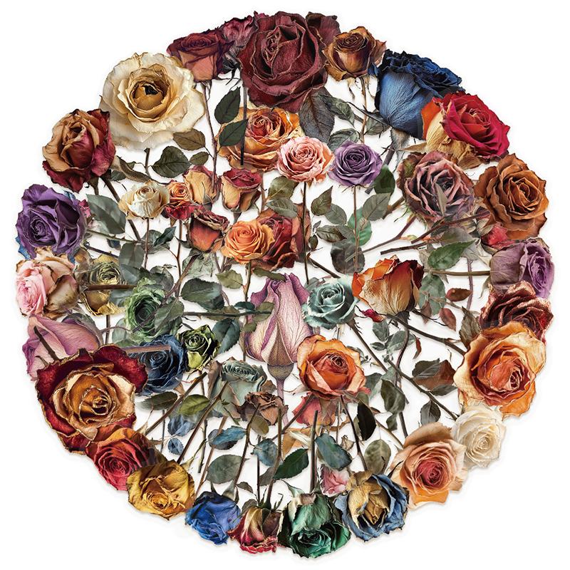 50PCS Vintage Dried Rose Stickers Aesthetic PET Transparent Flower Botanical Sticker Waterproof Decorative Decals for Scrapbook