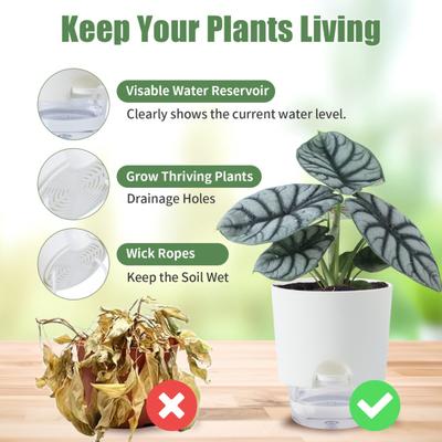 Maceta con Agujeros de Drenaje Puerto de Llenado de Agua Maceta Hidropónica Autoriego Automático Base Transparente Jardinera Hidropónica