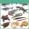 Miniature Ocean Prehistoric Animal Model Set Realistic Decorative Toys For Kids