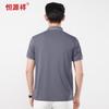 Hengyuanxiang Men's Antibacterial Ice Silk Polo T-Shirt