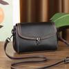 Bag 2025 New Versatile Shoulder Messenger Bag Large Capacity Women's Satchel Premium Light Luxury Women's Bag Women's Bag