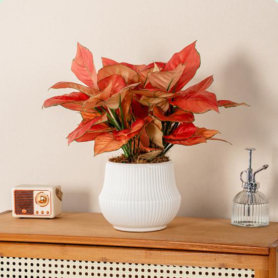 Automatic Water-absorbing Flowerpot with Vertical Grain Texture White Nordic Style Flower Pot for Home Decor
