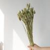 High-End Wabi-Sabi Dried Flower Decor: Natural Reeds & Wheat for Living Room or Homestay.