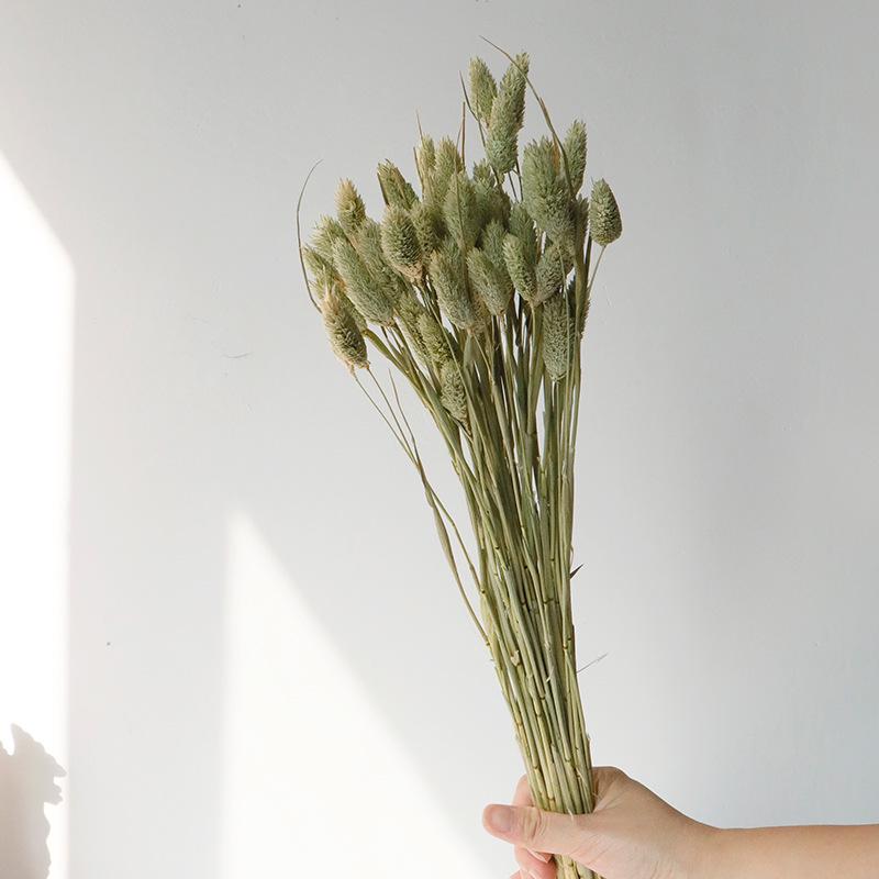High-End Wabi-Sabi Dried Flower Decor: Natural Reeds & Wheat for Living Room or Homestay.