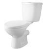 VEVOR Macerating Toilet System with Powerful 800W Macerator Pump, Rear Discharge and Upflush Toilet For Basement, Dual Flush Water Disposal