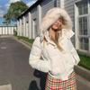 Autumn Winter Solid Leisure Women's  Fur Hooded Jacket Women Outerwear Fashion Leisure Slim Short Women Outerwear