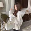 Imitation Fur Jacket Women's Autumn and Winter Loose Imitation Rex Rabbit Hair Plush Thickened Stand-up Neck Zipper Sweater Plush Jacket