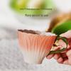 JOYYE Underglaze Ceramic Cup & Saucer Gift Set