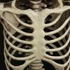 Realistic Full Body Human Bone Halloweens Props Flexible Joints Portable Plastic Indoor Outdoors Decoration