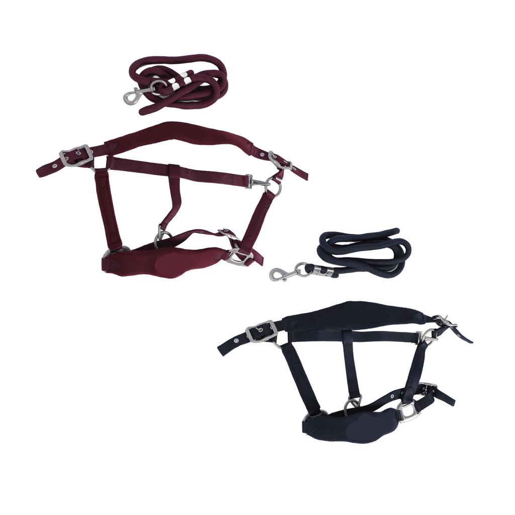 Horse Halter Set Prevent Rubbing Adjustable Horse Training Halter with 2m Horse Leash for Training D