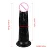 International Extra-Large Realistic Dildo and Anal Plug for Women