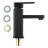 Steel Faucet Basin Faucet Black Plastic Handle Rust