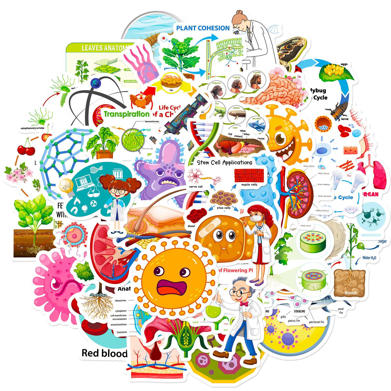 

50 Биомедицинских Наклеек Новый Продукт Биологическая Лаборатория Пазл на Распознавание Детских Кар картинок Научные Наклейки