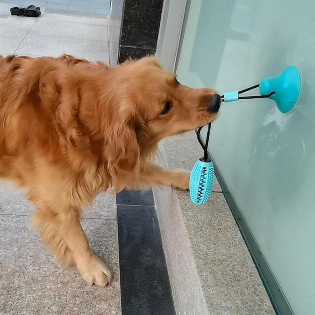 Pet Teething Toy: Bite-Resistant Ball with Suction Cup for Dogs