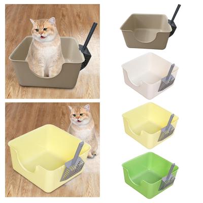 Gatos – Cuidados de gatos