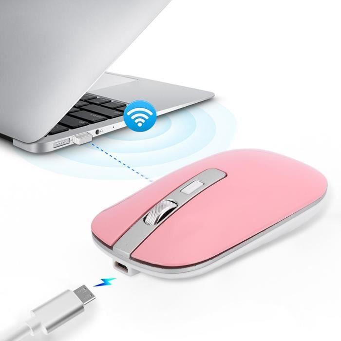 PUY 2.4G Souris sans fil ergonomique 1600 DPI haute résolution USB chargeur ordinateur Accessories (rose)