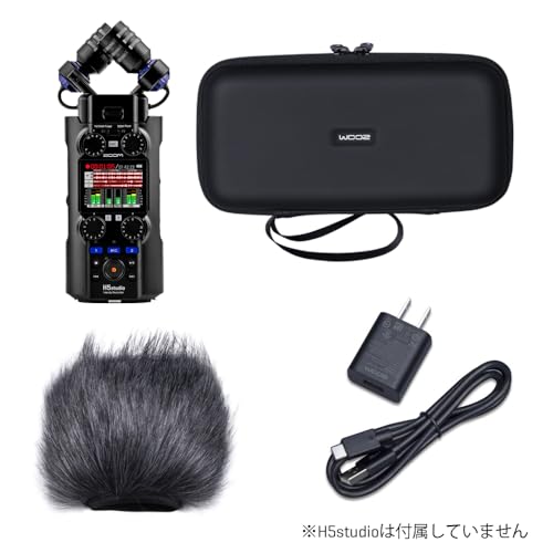 Zoom APH-5s H5studio Accessory Pack: Includes Hairy Windscreen, Dedicated Soft Shell Case, AC Adapter, and USB-C Cable