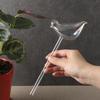 Flower Waterer High Borosilicate Glass Automatic Plant Watering Globes for Indoor Potted Plants Balcony Garden Orchids