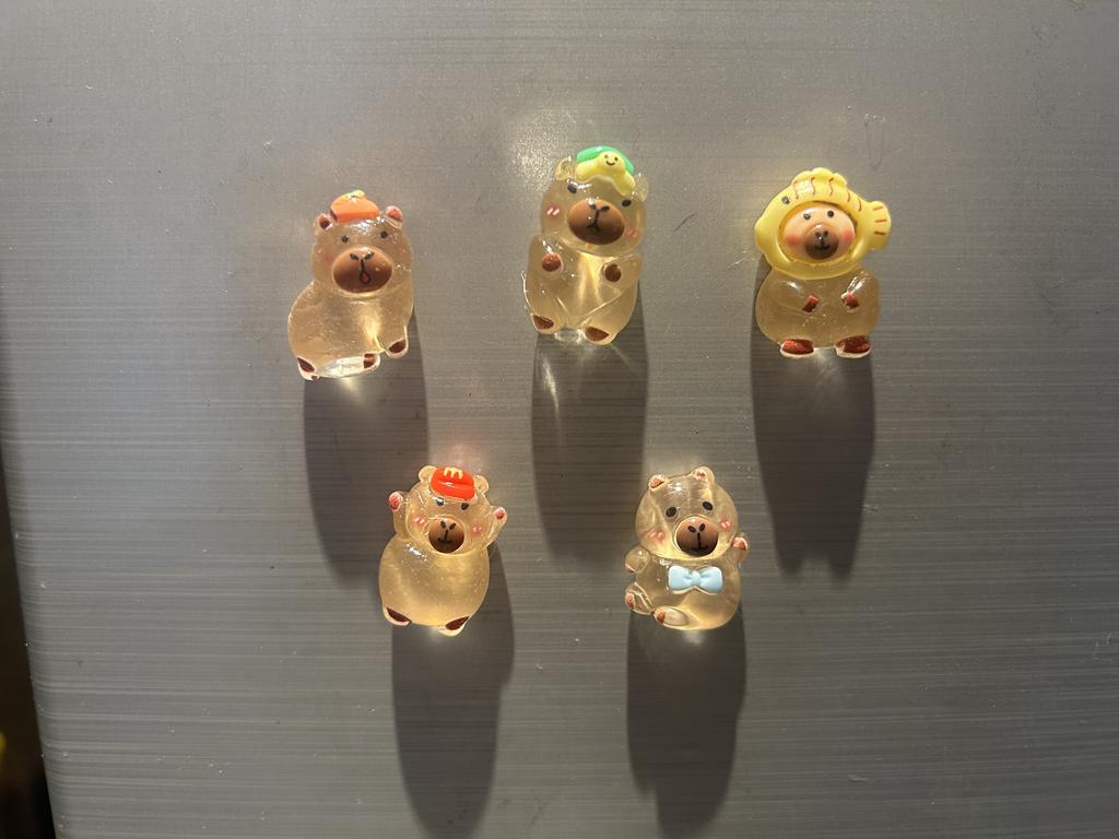 5 Stück DIY Kühlschrankmagnet Capybara Kugelfisch Magnete Nordisch Personalisierte Heimdeko Whiteboard Po Memoboard Zuhause
