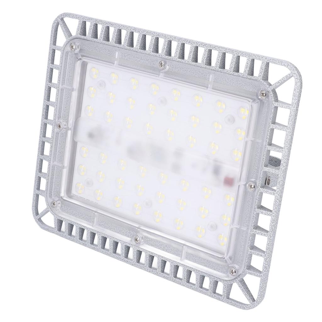 100W 12000LM LED Work Light Water Explosion Proof Lamp Glass Cover Lighting Lamp for Factory Mine Warehouse Workshop