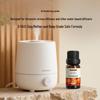 12-Piece Aromatherapy Essential Oil & Humidifier Set for Home and Car