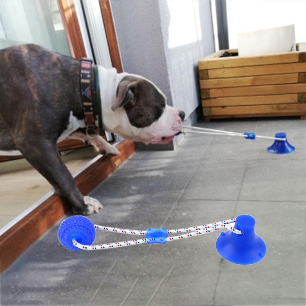 

Elastic Dog Toothbrush Bite Resistant Dog Ball Toys Creative Pet Molar Bite Toy For Tooth Cleaning