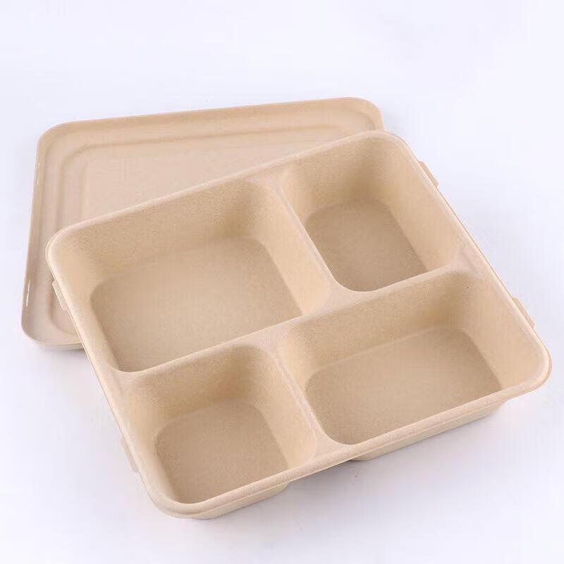 JingJingRS Disposable Degradable Pulp Lunch Box