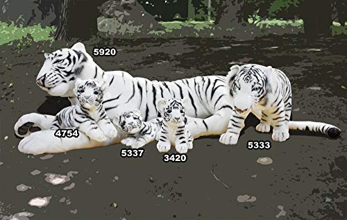 White Tiger No.4754