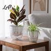 Home Decor Flower Pot Self-Watering Planter Water Reservoir Holes with Drainage Clear Outer Pot