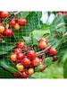 2m*5m Green Anti Bird Netting Pond Pool Protection Net Mesh Garden Plant Fruit Vegetables Flower Traps Netting Protect Pest Cont