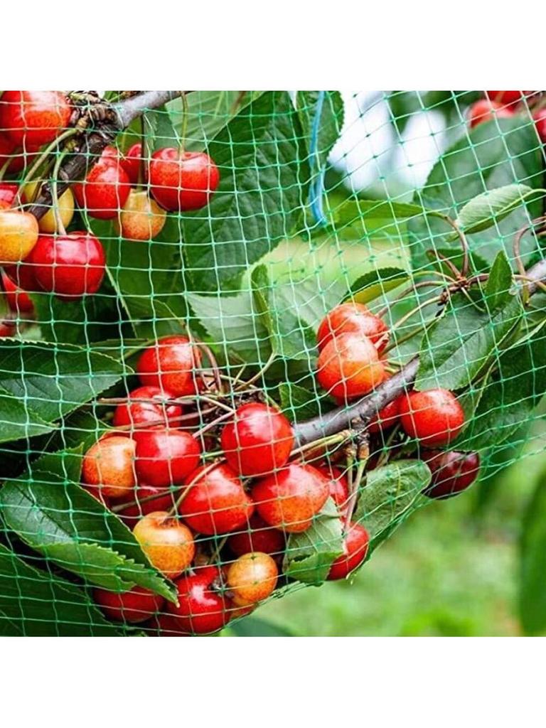 2m*5m Green Anti Bird Netting Pond Pool Protection Net Mesh Garden Plant Fruit Vegetables Flower Traps Netting Protect Pest Cont