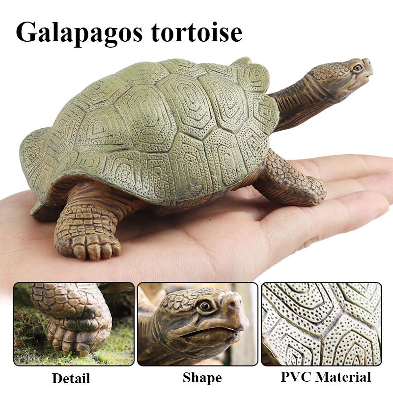 Oenux Sea Life Animals Model Leatherback Tortoise Turtle Growth Cycle Ocean Figurines Action Figures PVC Collection Kid Toy Gift