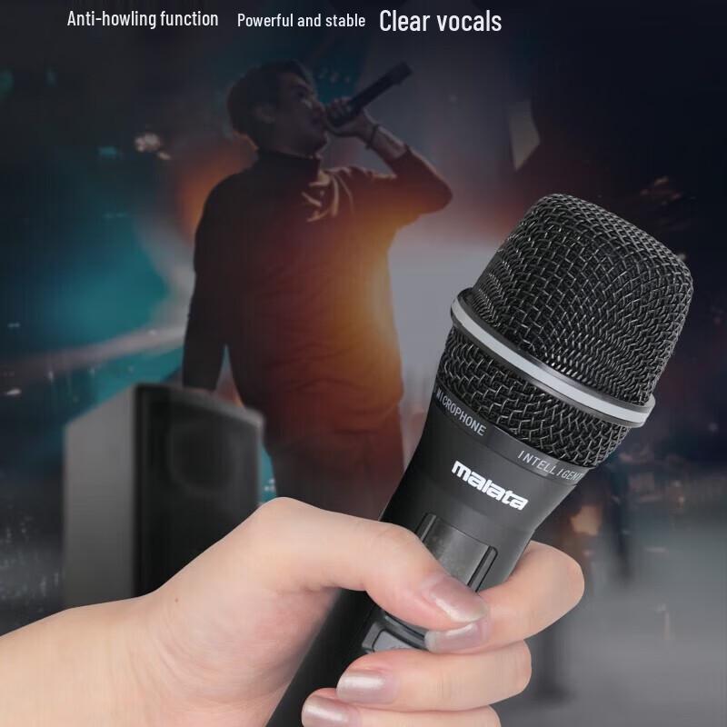 Malata M+9788A Portable Bluetooth K-Song Speaker CN Plug (adapter Included)