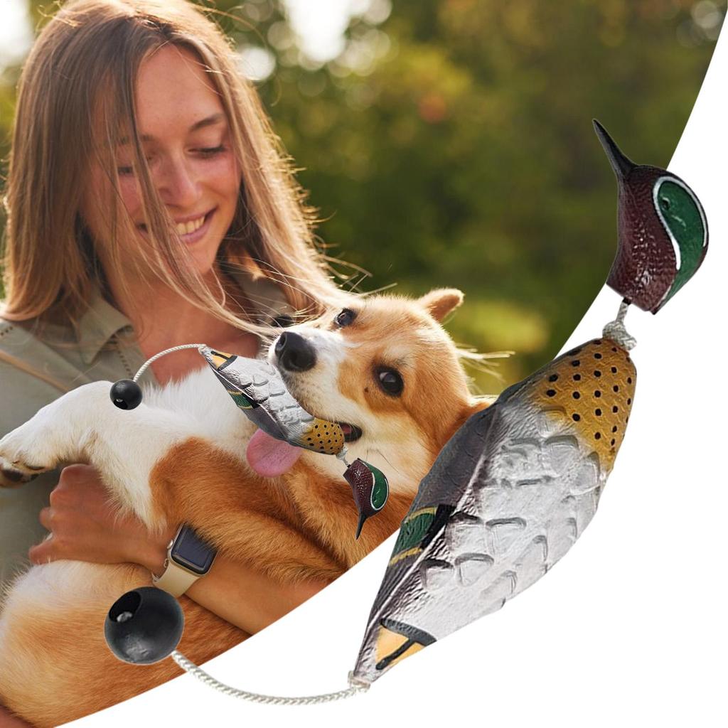Duck Training Toy for Dogs Waterfowl Hunting Retriever Floating Scent Fowl Trainer Interactive Decoys Pet Supplies