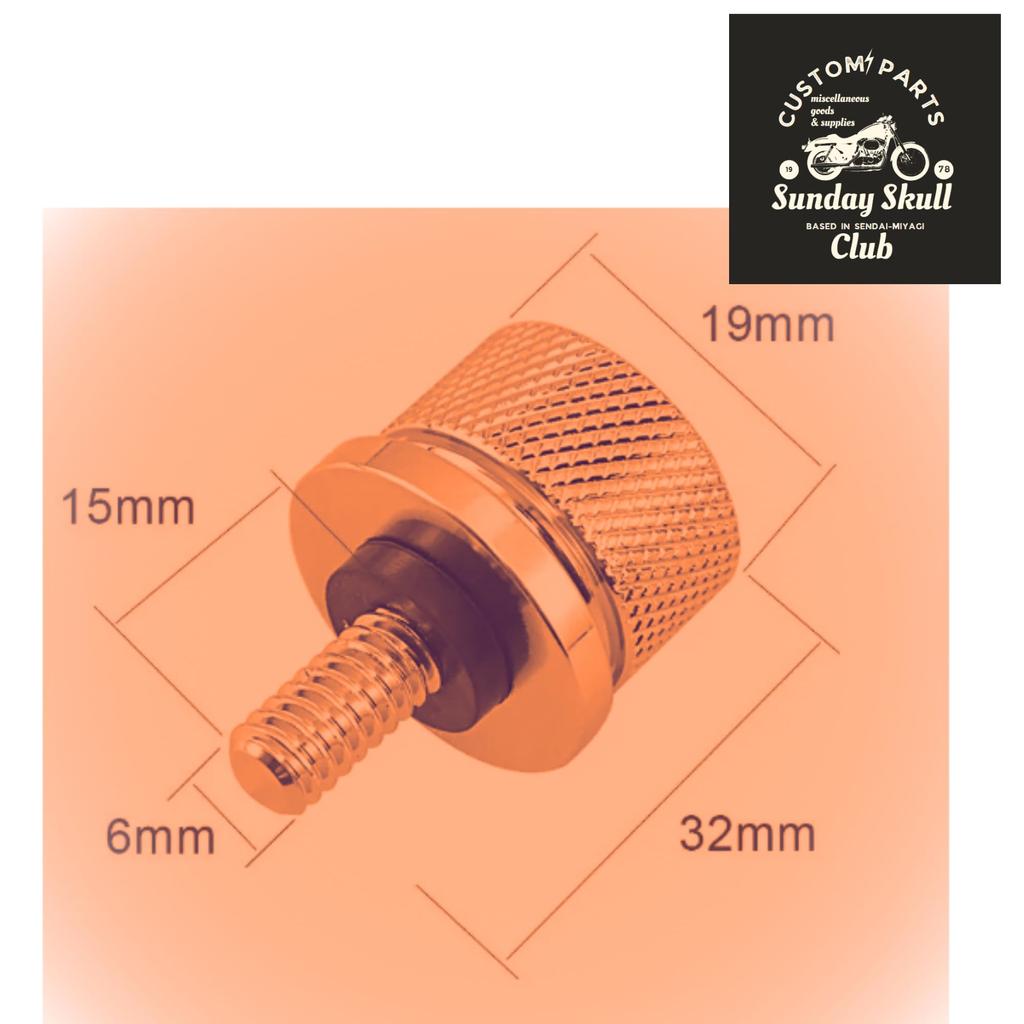 Harley-Davidson 1996~ Sitzschraube Sitzschraube Rücksitzschraube Aluminium-Montagekappe 1/4"-20 Gewindesteigung Typ Keine Werkzeuge erforderlich