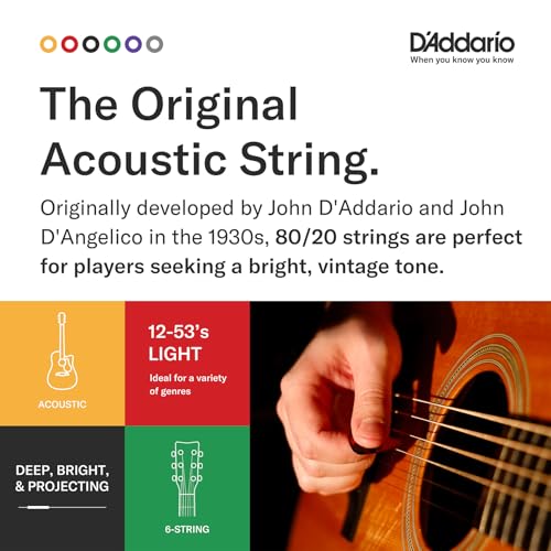 D'Addario Acoustic Guitar Strings 80/20 Bronze Extra Light .010-.047 EJ10 [Domestic Genuine Product]