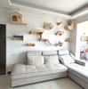 Produse pentru animale – Mobilier pentru animale de companie