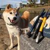 tailwalk Outback Puppy S50L-T Fishing Rod Lightweight Durable Design 2.1m