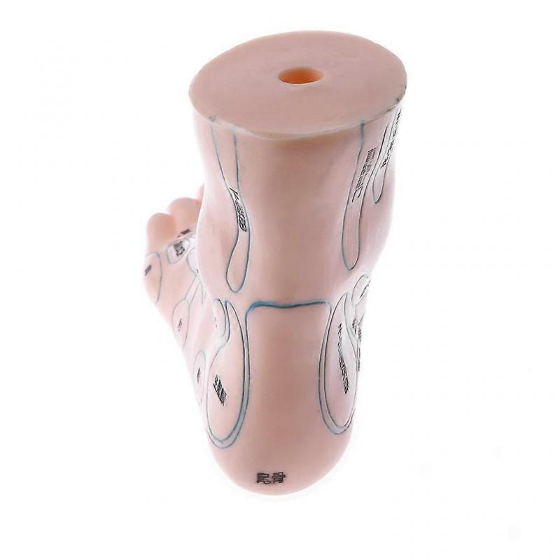 2 pair 19cm Massage Acupuncture Feet Model Reflexology Acupoint  Kit