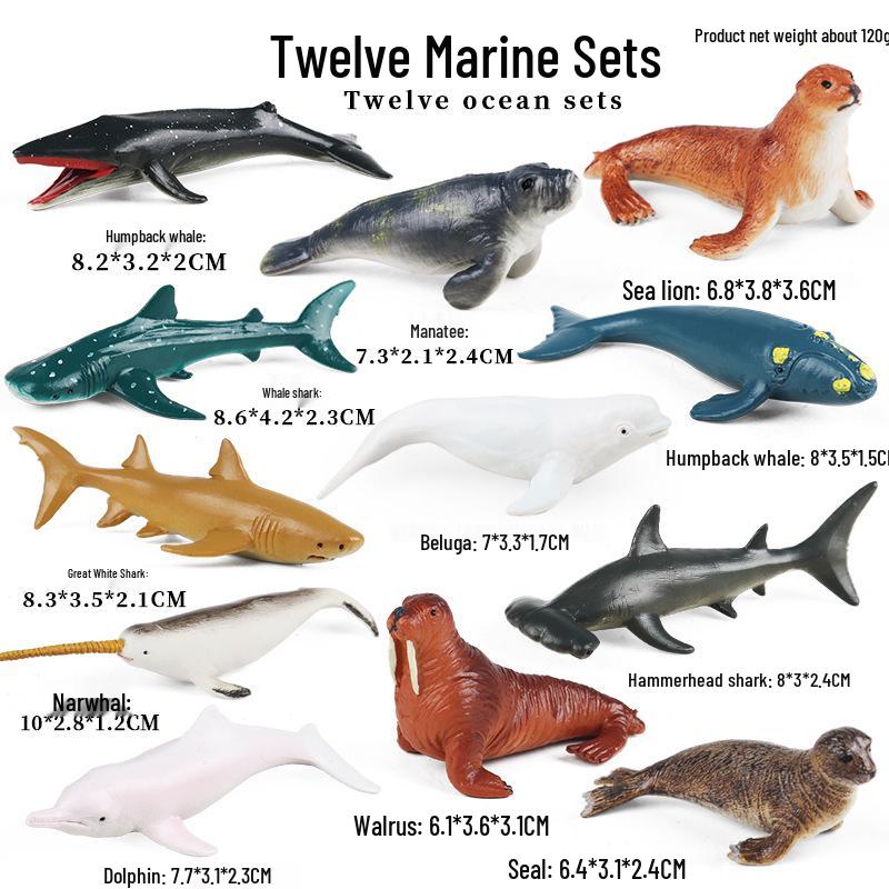 Children's Cognitive Marine Animal Models: Sea Turtle and Tortoise Toys